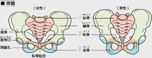 産後矯正